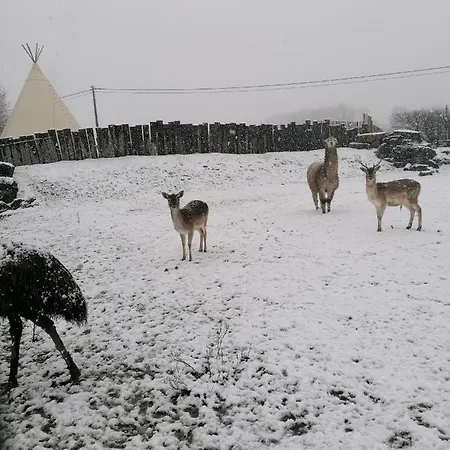 Les Tipis D'adri Sur Rb&b Gesves