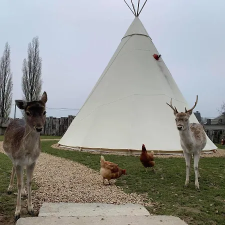 Les Tipis D'adri Sur Rb&b